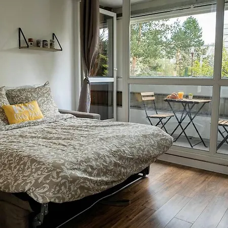 Grand Studio Avec Terrasse - Paris Saclay